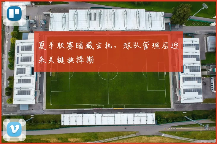 夏季联赛暗藏玄机，球队管理层迎来关键抉择期
