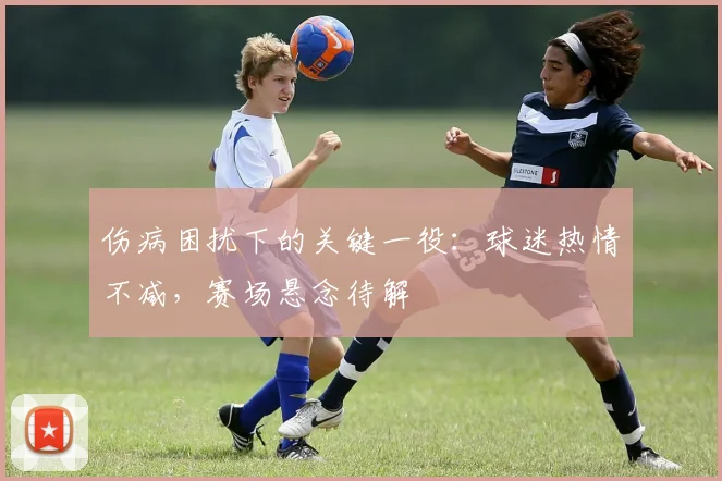 伤病困扰下的关键一役:球迷热情不减,赛场悬念待解