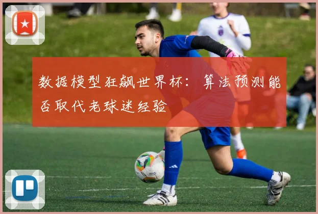 数据模型狂飙世界杯:算法预测能否取代老球迷经验